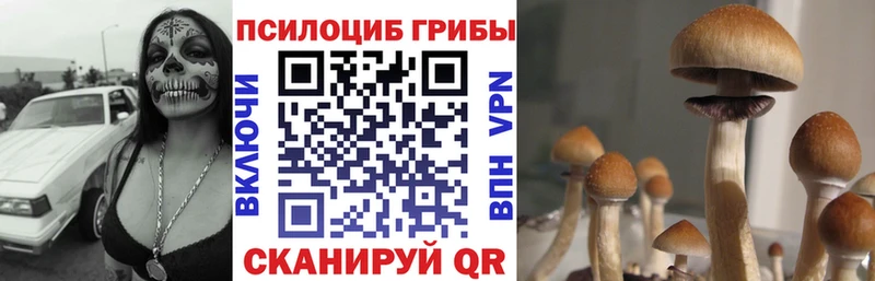 Галлюциногенные грибы Magic Shrooms  Бугульма 